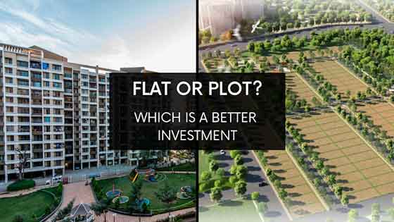 Which is a better investment Flat or Plot